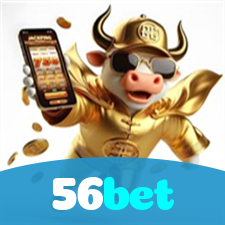 Segurança no 56bet